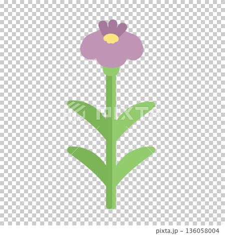 菖蒲(アヤメ) 花イラスト 菖蒲(アヤメ) 花イラスト 136058004