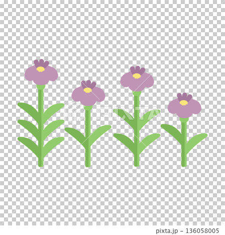 菖蒲（アヤメ）　花イラストセット 136058005