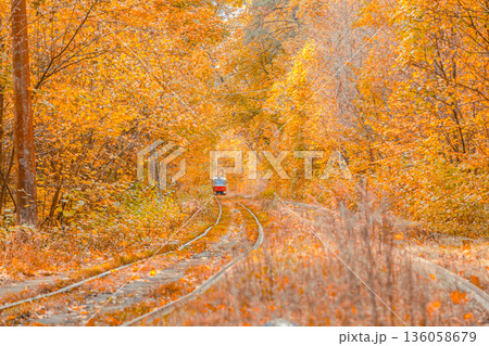 Autumn forest through which the tram travels, Kyiv and rails Autumn forest through which the tram travels, Kyiv and rails 136058679