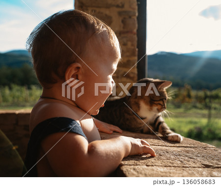 Baby Watching Cat with Curiosity on a Sunny Day Baby Watching Cat with Curiosity on a Sunny Day 136058683