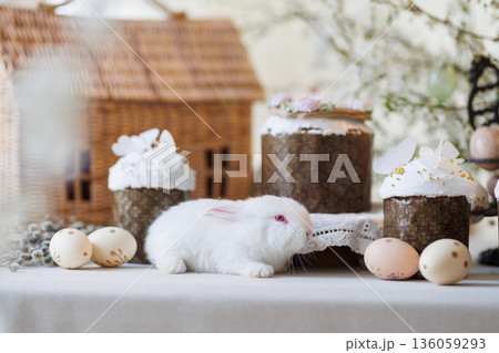 White bunny with Easter cakes and eggs on spring table with blossom branches, soft light 136059293