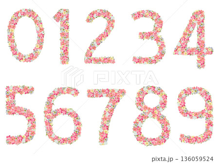 ピンクの花で作った数字セット 0-9 押し花素材 フローラル ボタニカル 背景透過PNG ピンクの花で作った数字セット 0-9 押し花素材 フローラル ボタニカル 背景透過PNG 136059524