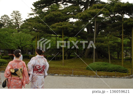 美しい庭園で着物を着た女性たち 136059621