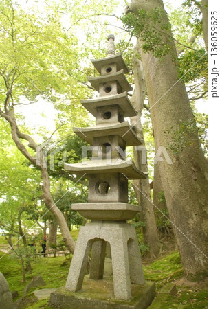 緑あふれる中にたたずむ石灯籠 緑あふれる中にたたずむ石灯籠 136059625