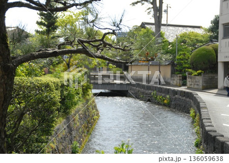 緑に囲まれた小川と橋の風景 緑に囲まれた小川と橋の風景 136059638