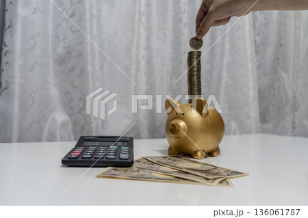 豚の貯金箱に硬貨を入れる 豚の貯金箱に硬貨を入れる 136061787