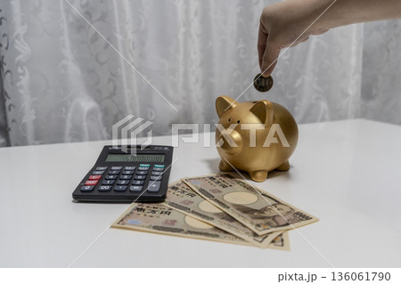 豚の貯金箱にお金を入れる男性の手 豚の貯金箱にお金を入れる男性の手 136061790