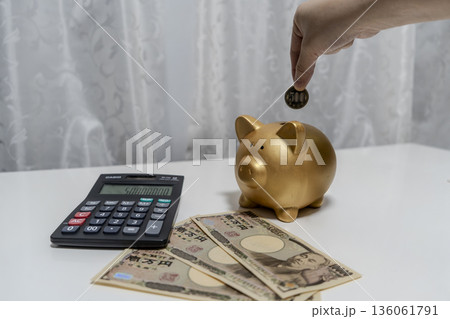 豚の貯金箱にお金を入れる女性の手 豚の貯金箱にお金を入れる女性の手 136061791