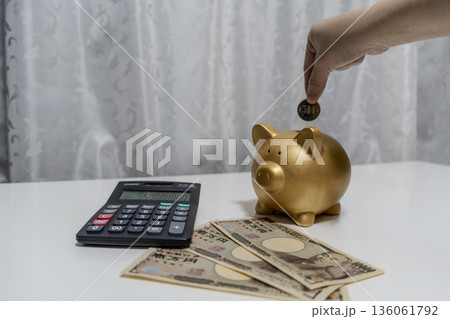 豚の貯金箱に硬貨を入れる女性の手 豚の貯金箱に硬貨を入れる女性の手 136061792