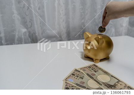 豚の貯金箱に硬貨を入れる女性の手 豚の貯金箱に硬貨を入れる女性の手 136061793
