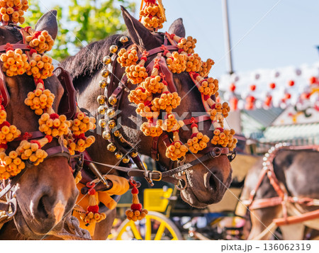 Elegant Horses Adorned for Seville April Fair Celebration 136062319