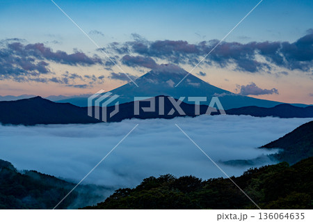 （神奈川県）芦ノ湖を覆う大雲海と富士山 136064635