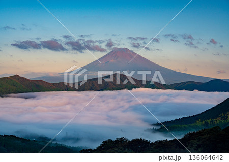 （神奈川県）芦ノ湖を覆う大雲海と富士山 136064642