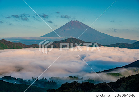 （神奈川県）芦ノ湖を覆う大雲海と富士山 136064646