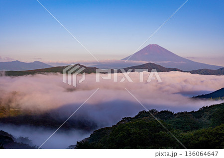 （神奈川県）芦ノ湖を覆う大雲海と富士山 136064647