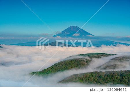 （神奈川県）芦ノ湖を覆う大雲海と富士山 136064651