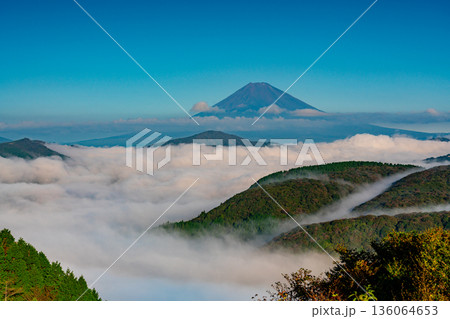 （神奈川県）芦ノ湖を覆う大雲海と富士山 136064653