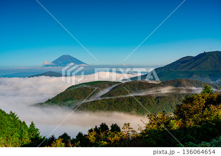 (神奈川県)芦ノ湖を覆う大雲海と富士山 (神奈川県)芦ノ湖を覆う大雲海と富士山 136064654