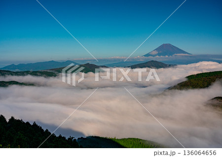 (神奈川県)芦ノ湖を覆う大雲海と富士山 (神奈川県)芦ノ湖を覆う大雲海と富士山 136064656