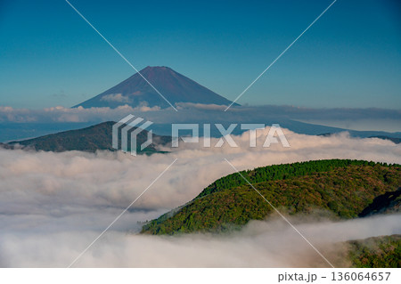 (神奈川県)芦ノ湖を覆う大雲海と富士山 (神奈川県)芦ノ湖を覆う大雲海と富士山 136064657