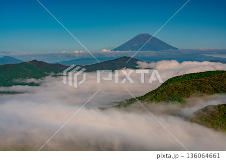 （神奈川県）芦ノ湖を覆う大雲海と富士山 136064661