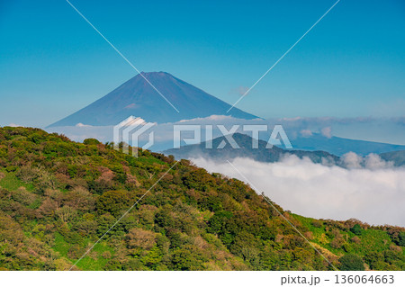 (神奈川県)芦ノ湖を覆う大雲海と富士山 (神奈川県)芦ノ湖を覆う大雲海と富士山 136064663