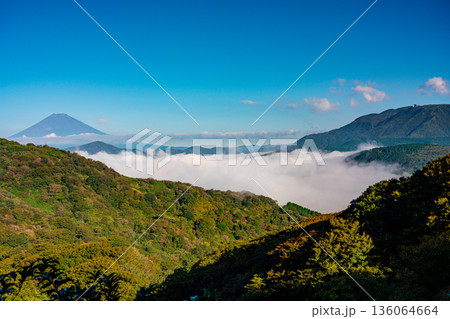（神奈川県）芦ノ湖を覆う大雲海と富士山 136064664