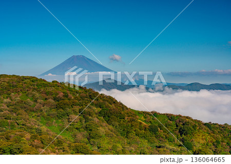 （神奈川県）芦ノ湖を覆う大雲海と富士山 136064665