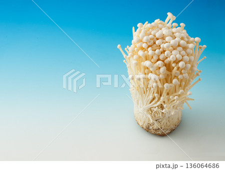 えのきだけ スタジオ撮影 えのきだけ スタジオ撮影 136064686