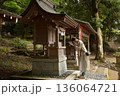 神社で参拝するシニア女性 136064721