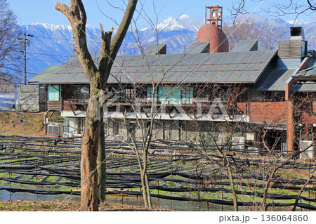 安曇野　冬の大王わさび農場 136064860