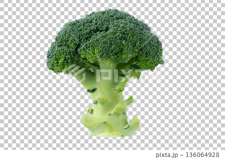 透明背景(png)に1個のブロッコリー 透明背景(png)に1個のブロッコリー 136064928