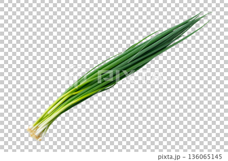透明背景上的蔥(png) 透明背景上的蔥(png) 136065145