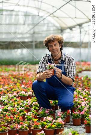 Man garden store worker holds a begonia 136065854