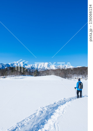 中山高原・スノートレッキング (北アルプスの眺め) 中山高原・スノートレッキング (北アルプスの眺め) 136066134