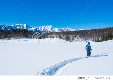 中山高原・スノートレッキング （北アルプスの眺め） 136066205