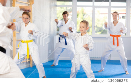Kid boy and his family repeat movements and learn fighting techniques during martial arts lesson 136066278
