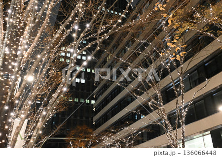 東京 丸の内のイルミネーション 東京 丸の内のイルミネーション 136066448