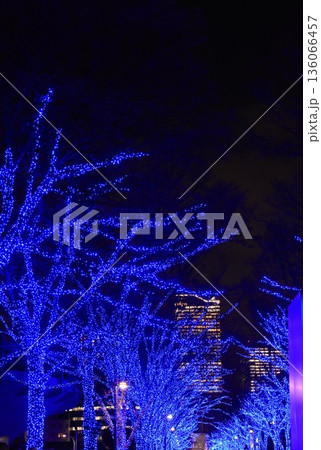 東京都渋谷区の青の洞窟のブルーのイルミネーション 東京都渋谷区の青の洞窟のブルーのイルミネーション 136066457