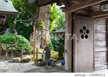 鎌倉　荏柄天神社の景色 136066511
