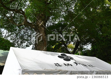 鎌倉　荏柄天神社の景色 136066513