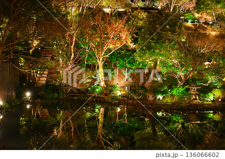 椿山荘の夜景 136066602