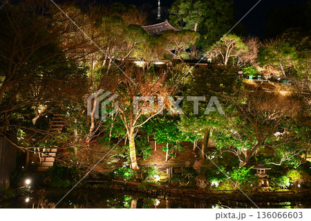 椿山荘の夜景 136066603