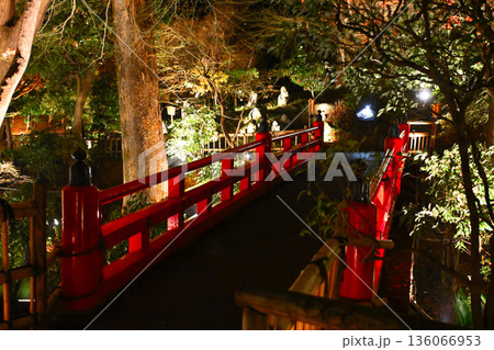 椿山荘の夜景 136066953