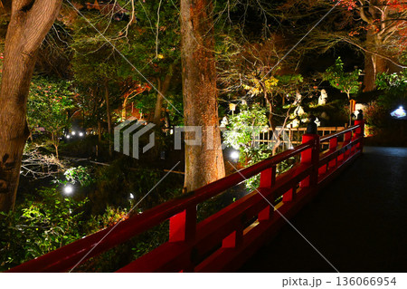 椿山荘の夜景 136066954