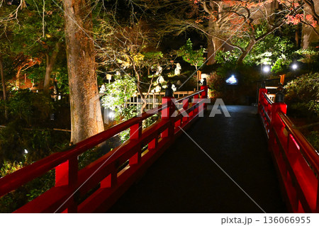 椿山荘の夜景 136066955