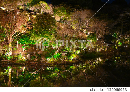 椿山荘の夜景 136066958