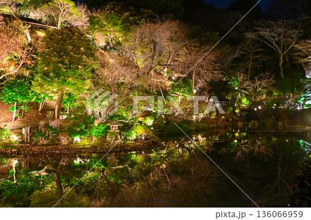 椿山荘の夜景 136066959
