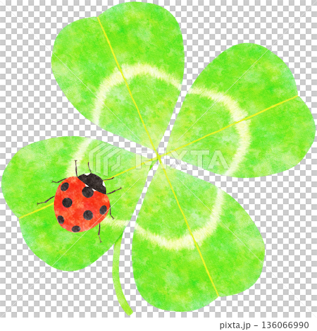 Four-leaf clover and ladybug - Stylish watercolor illustration 136066990