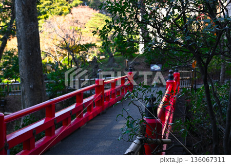 椿山荘の景色 136067311